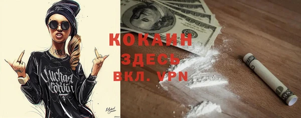прущие грибы Белокуриха