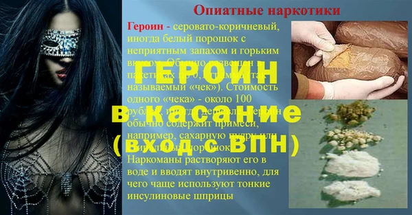 прущие грибы Белокуриха