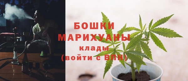 прущие грибы Белокуриха