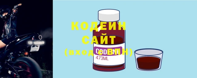 прущие грибы Белокуриха
