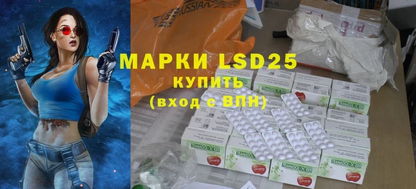 прущие грибы Белокуриха