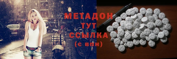 прущие грибы Белокуриха