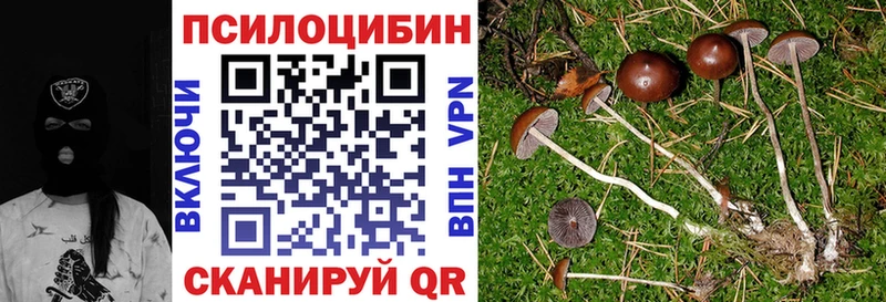 darknet какой сайт Волжск Псилоцибиновые грибы ЛСД цены блэк спрут