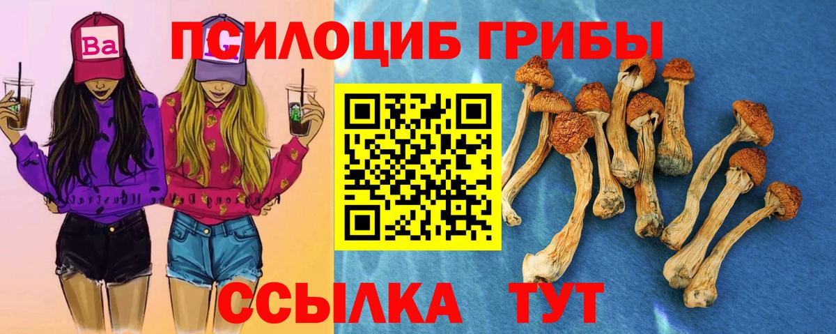 Волжск  Галлюциногенные грибы Magic Shrooms  Вход с VPN  Псилоцибиновые грибы Psilocybe 
