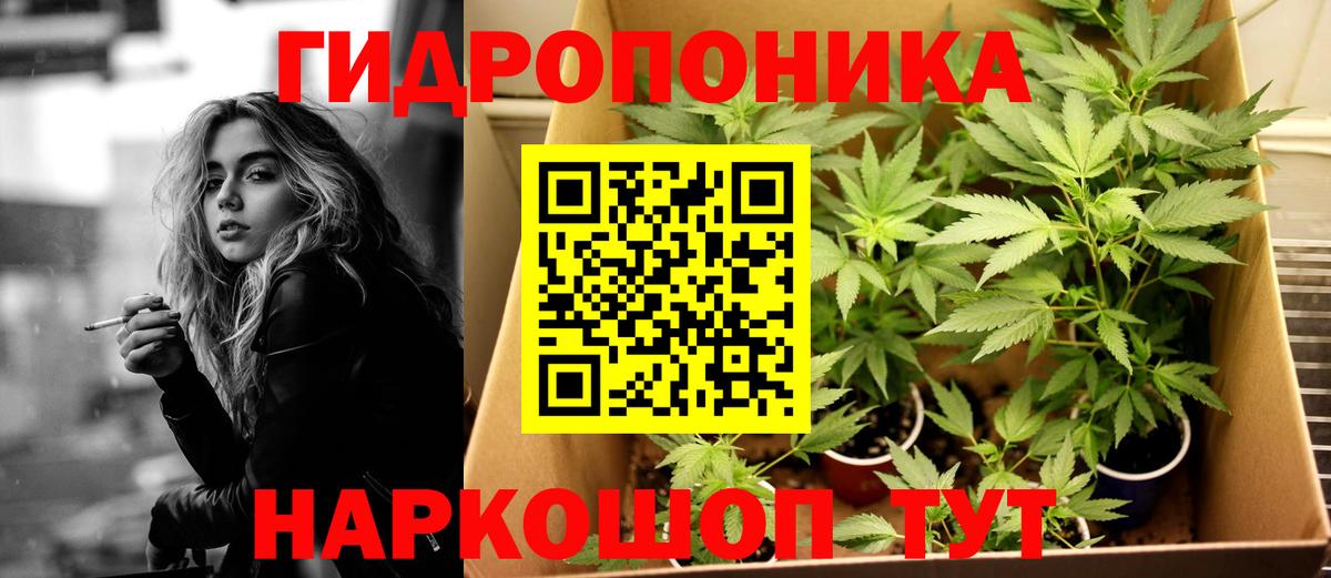 Марихуана сатива Волжск